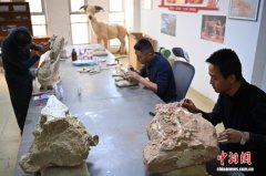 （新春见闻）探访古动物化石“美容师”：指尖“复活”远古生命